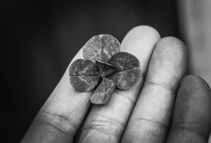 xì tố 789Club